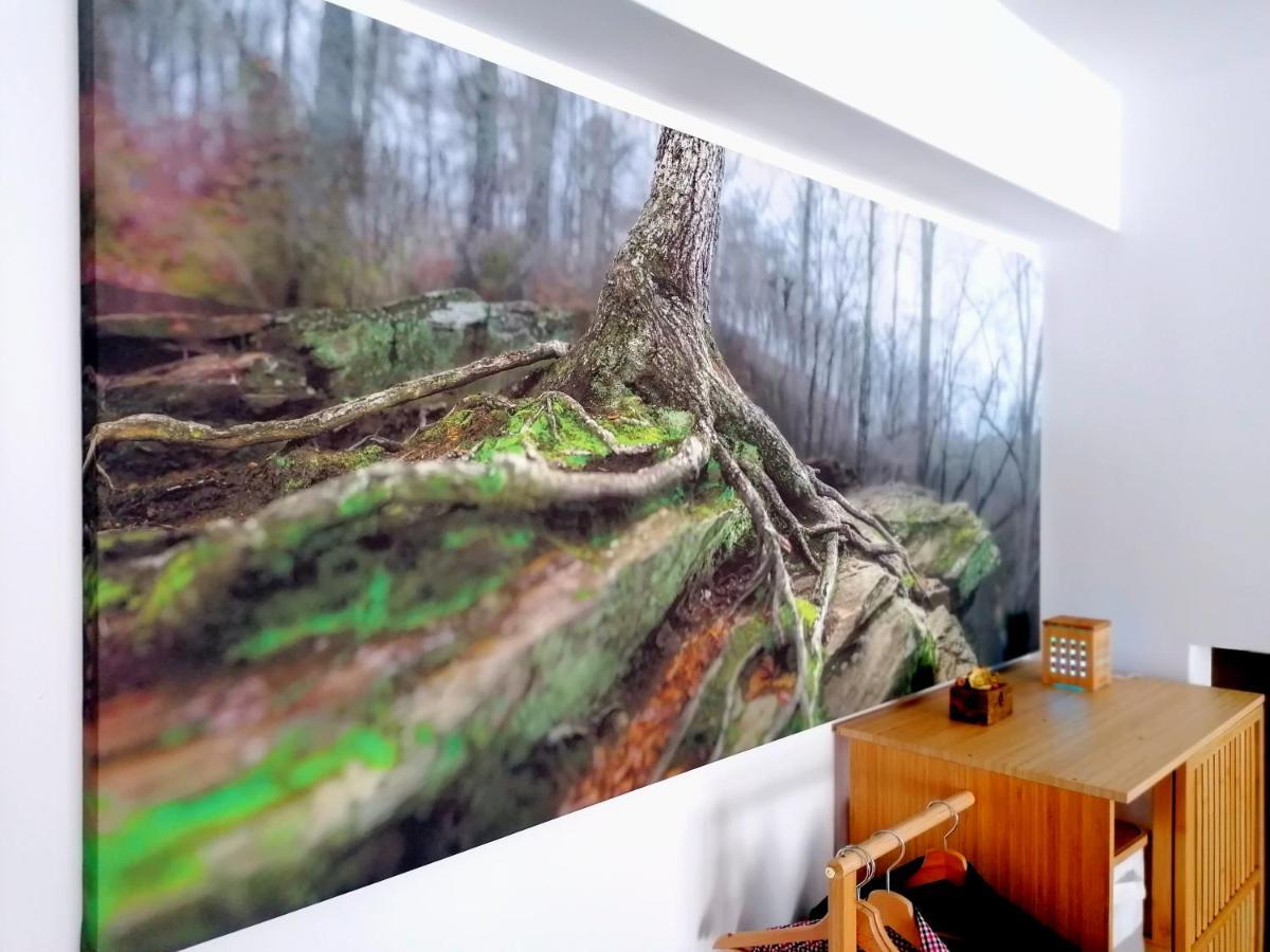 Wooden Touch Studio Brassó Kültér fotó